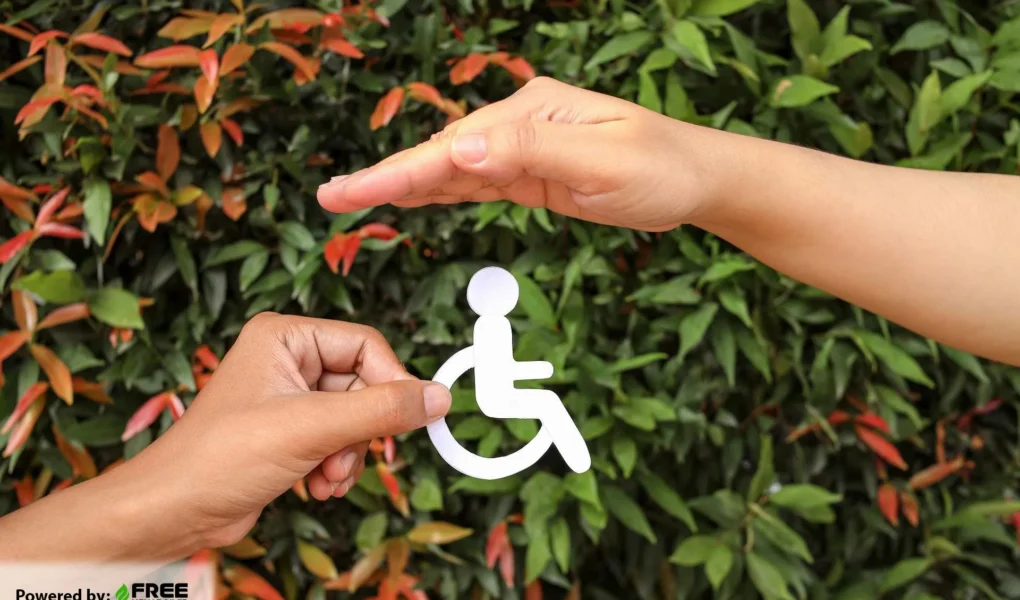 Boiler Grants for Disabled